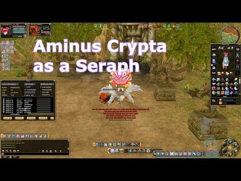 Aminus Crypta as a Seraph (Insanity Flyff)
