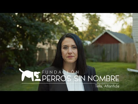 Second chances for stray dogs in Tela-Honduras