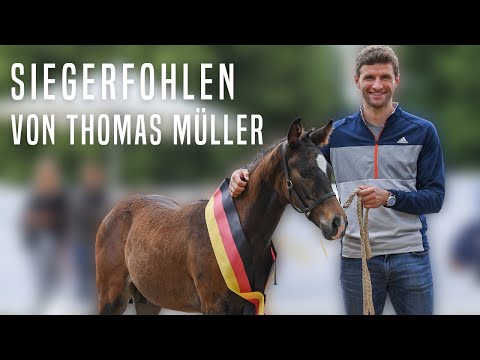 Ein Siegerfohlen von Thomas Müller ⚽️🐎 | Hengstfohlen von Va Bene x Charmeur 🤩