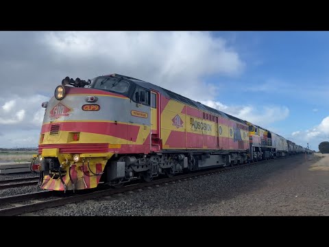 Down 9775V SSR Grain With CLP9 (Auscision Models) BRM002 CLF3 at Gheringhap heading west 14/9/2024