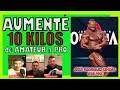 DIETA VOLUMEN 6 COMIDAS EXPLICADA PASO A PASO | Jesús Rodriguez Sendra IffbPRO
