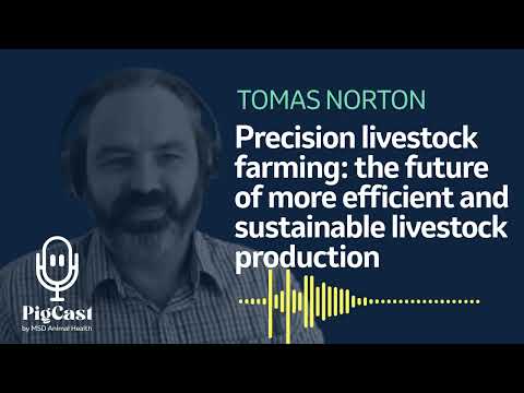 Precision livestock farming: the future of more efficient and sustainable livestock production