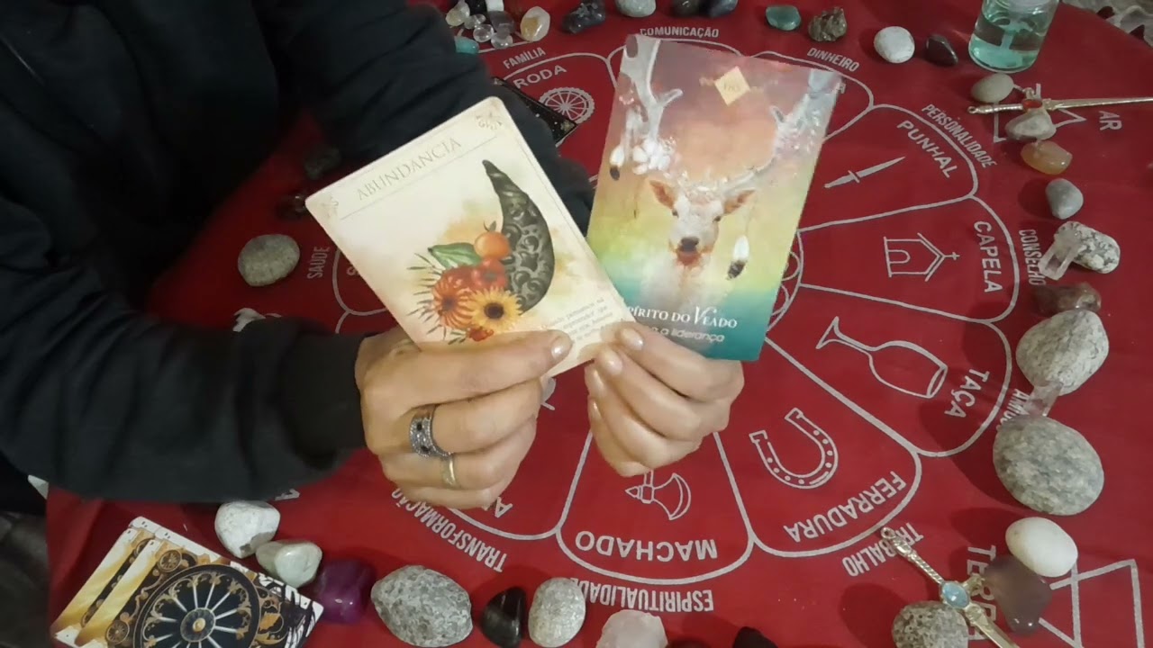 LEÃO - REALIZANDO UM DESEJO.