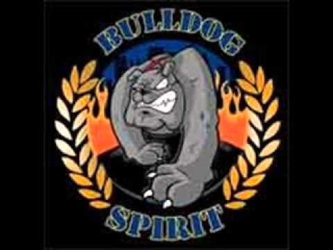 Bulldog Spirit - Pain Is Only Temporary