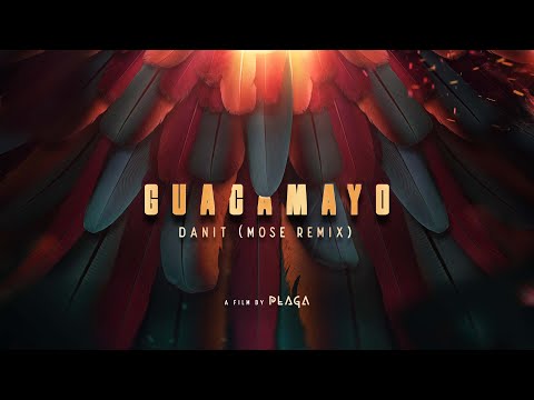 Danit - Guacamayo (Mose Remix) [Film by PLAGA]