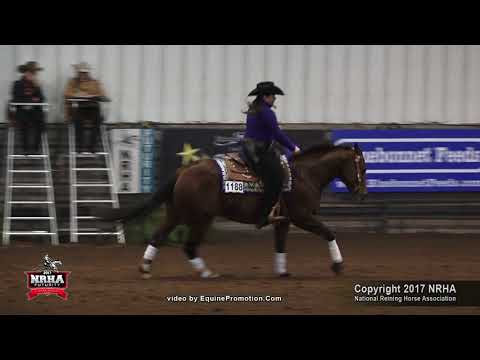 Hickorys Baylite ridden by Alexandra Hatchett  - 2017 NRHA Futurity (Rookie)