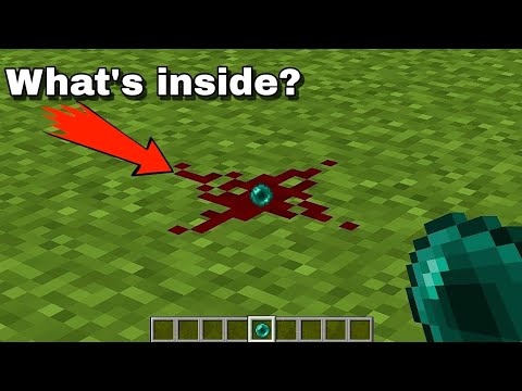 Wolf Knight - what's inside redstone?