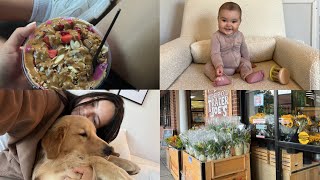 vlog: my mom moved in + trader joes haul + book review + mom things