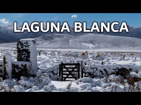 Nieve en Laguna Blanca, Catamarca: 21 julio 2026