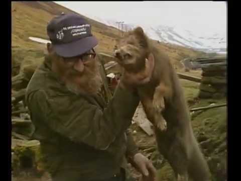 Stiklur Hrafnseyri, Laugaból