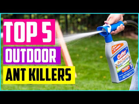 image-Does ant powder work outside?