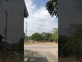 Snake Jumps Off Roof 😳😳 #shorts