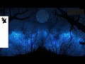 W W Lil Jon Hardwell Live The Night Official Visualizer