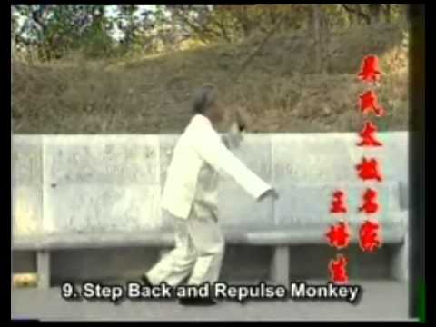 37-form Wu Taiji Quan by Wang Peisheng