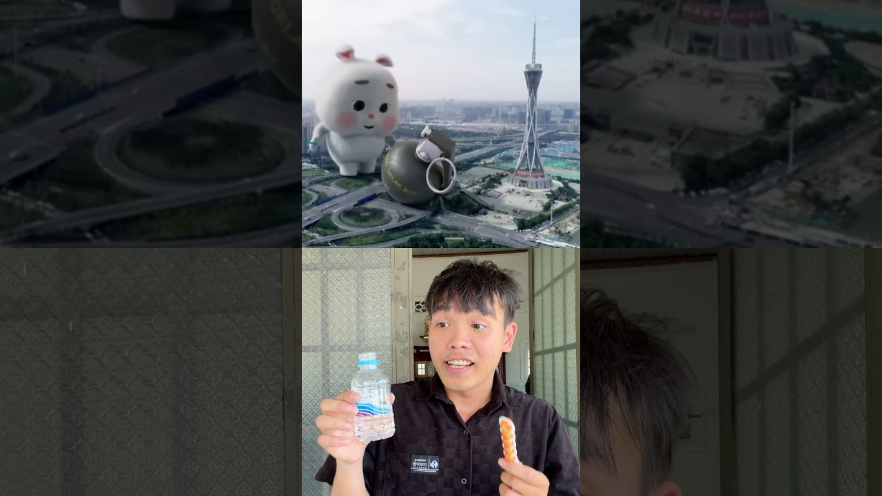 Cute Rabbit’s Hilarious Prank War Escalation