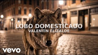 Valentín Elizalde - Lobo Domesticado (Visualizer)