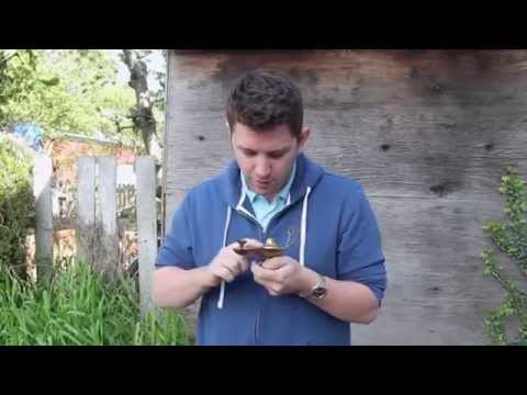 Crapshots Ep141 - The Genie Returns