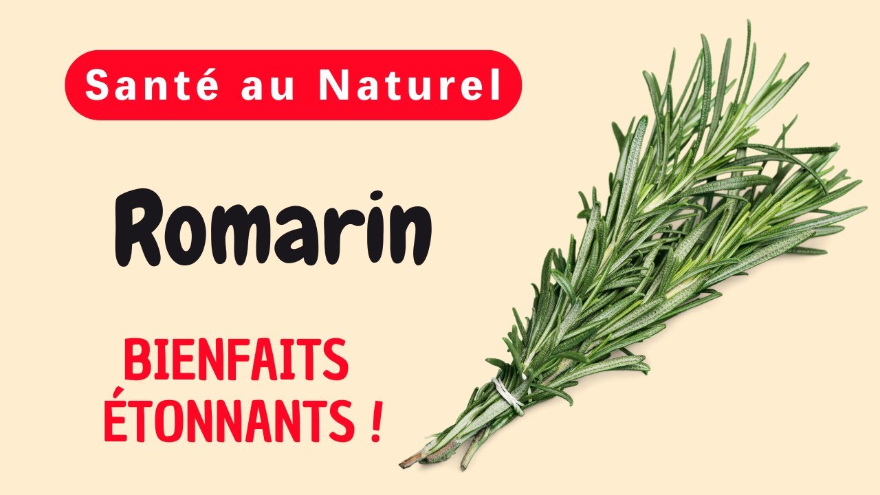 Romarin : Herbe miracle pour la santé et le bien-être ? Que dit la science sur ses effets magiques ?
