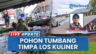 Dinas PRKPLH Bergerak Cepat Atasi Pohon Besar Roboh usai Hujan & Angin Kencang di Pelaihari