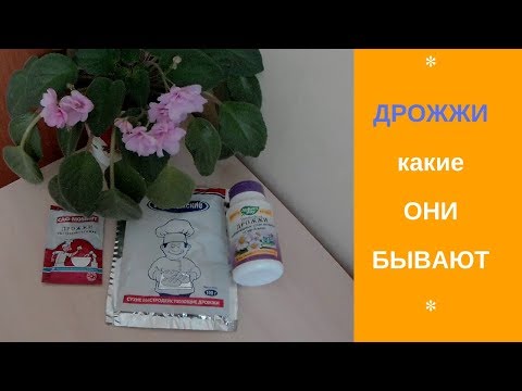 ДРОЖЖИ ✔ СУХИЕ и ПРЕССОВАННЫЕ ✔ АКТИВНЫЕ и БЫСТРОдействующие