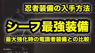 ドラゴンズドグマ2 シーフ 最強装備 加護なき世界 防具 入手方法 竜識者防具との比較