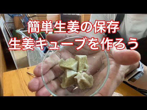 生姜の冷凍:こうやって作る 植物