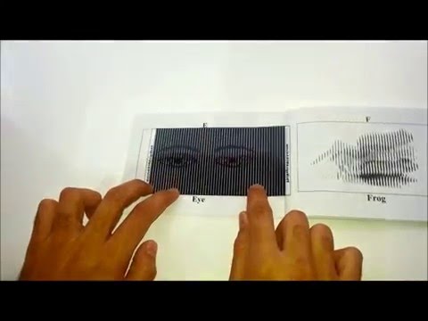 The Magic ABC Book AR