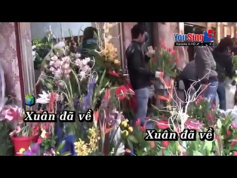 Liên Khúc Đón Xuân - Xuân Đã Về Karaoke