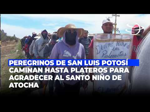 Peregrinos de San Luis Potosí caminan hasta Plateros para agradecer al Santo Niño de Atocha