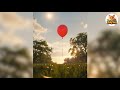 1 Balloon 2 Hearts Beautifulthings BensonBoonei Goldenretriever Gold Pets Fyp Facts