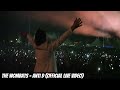 The Wombats - Anti D (Official Live Video) (Australia, 2011)