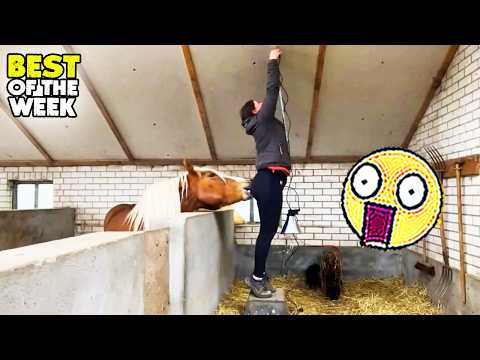 Try Not To Laugh 🤣 #30 | Instant Regret & Hilarious Moments | Best Of The Week