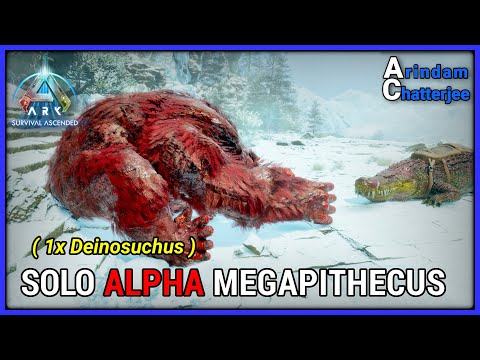ARK Ascended Island - SOLO ALPHA MEGAPITHECUS vs 1x Deinosuchus - S3E29