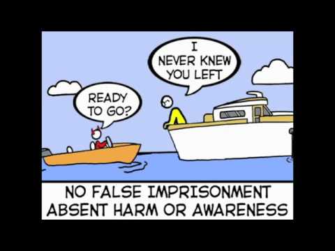 Animated Law - Torts - 1 - Introduction to Intentional Torts