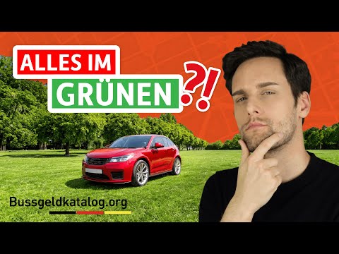 Parken auf der Grünflache 🌲🛻 Kann das erlaubt sein?