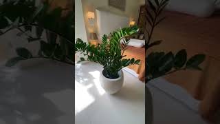 WHITE GUCI TERAZZO POT DIAMETER 40CM AND HEIGHT 50CM