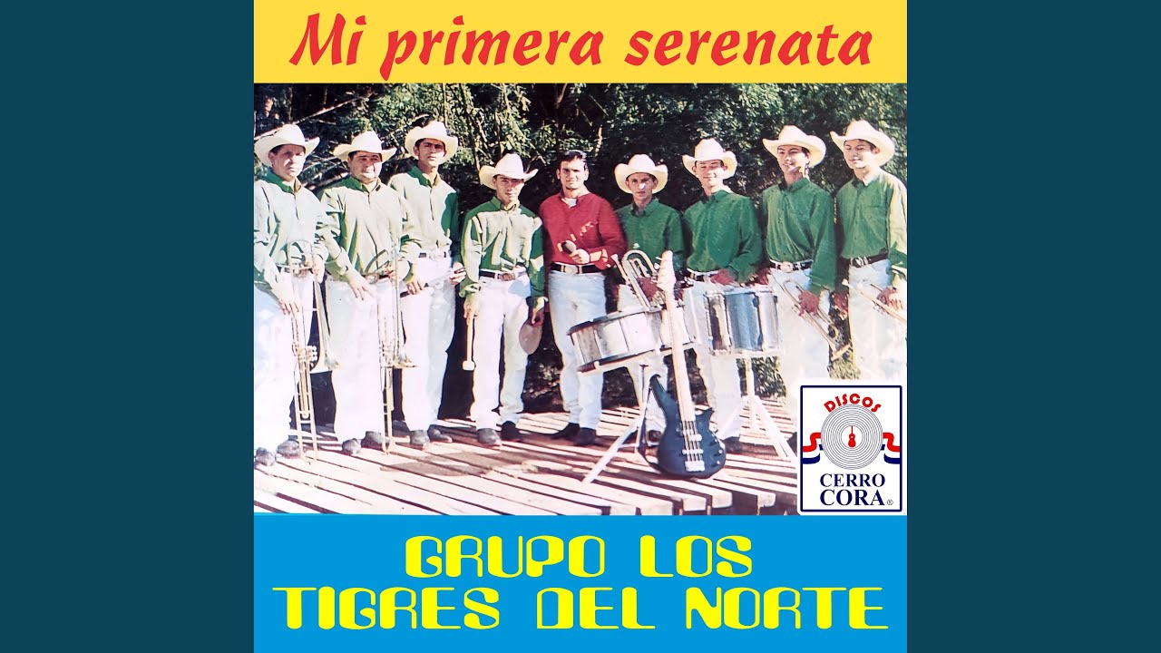 Si Yo Ya No Te Intereso