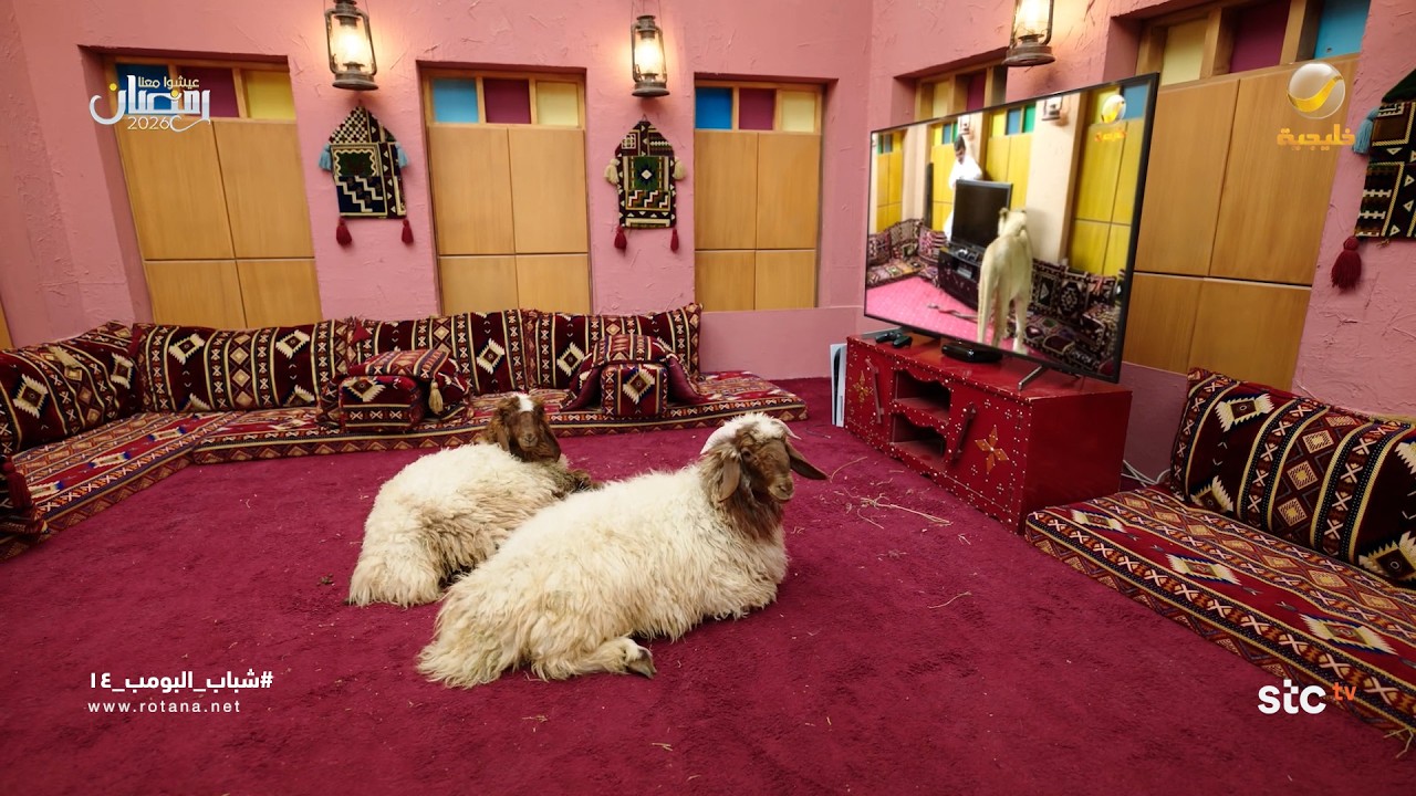 الاستراحة قلبت سوق غنم - شباب البومب 14