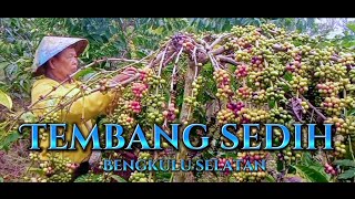 Download lagu TEMBANG SEDIH😢~SUMTRA SELATAN || Cipt.Sepri tasti mp3