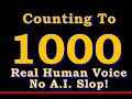 Counting To 1000