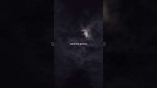 Download lagu sekrarang gimanah #shorts #fyp #younglex #storywa mp3 Download lagu sekrarang gimanah #shorts #fyp #younglex #storywa mp3