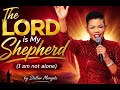 The Lord Is My Shepherd I Am Not Alone Stella Mengele
