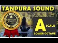 Tanpura A Scale A Scale Tanpura Lower Octave In HQ