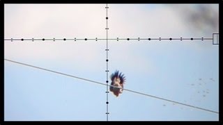 100 Yard Dove Shot - Dove Hunting with Edgun Matador PCP Air Rifle (Nov 6, 2011)