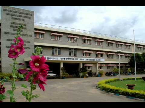 Marigold Cultivation Radio Talk Hindi mpeg4 