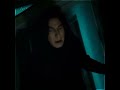 Severus Snape And Lily Evans Arcade X Mann Mera