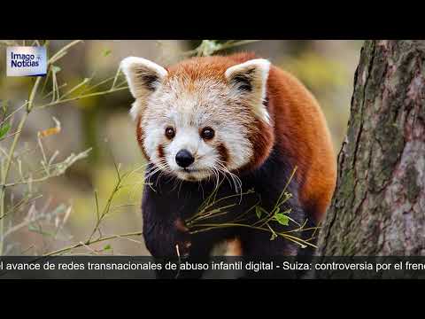 Imago — Todas las noticias