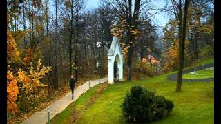 preview picture of video 'Parkfriedhof Lutzmannsburg 1.Teil .wmv'