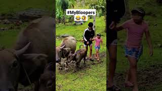 Download lagu #Mybloopers #shorts Riding a Carabao EPIC Fail π€£ mp3 Download lagu #Mybloopers #shorts Riding a Carabao EPIC Fail π€£ mp3