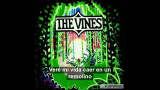 The Vines - 1969 (SUBTITULOS EN ESPAÑOL)